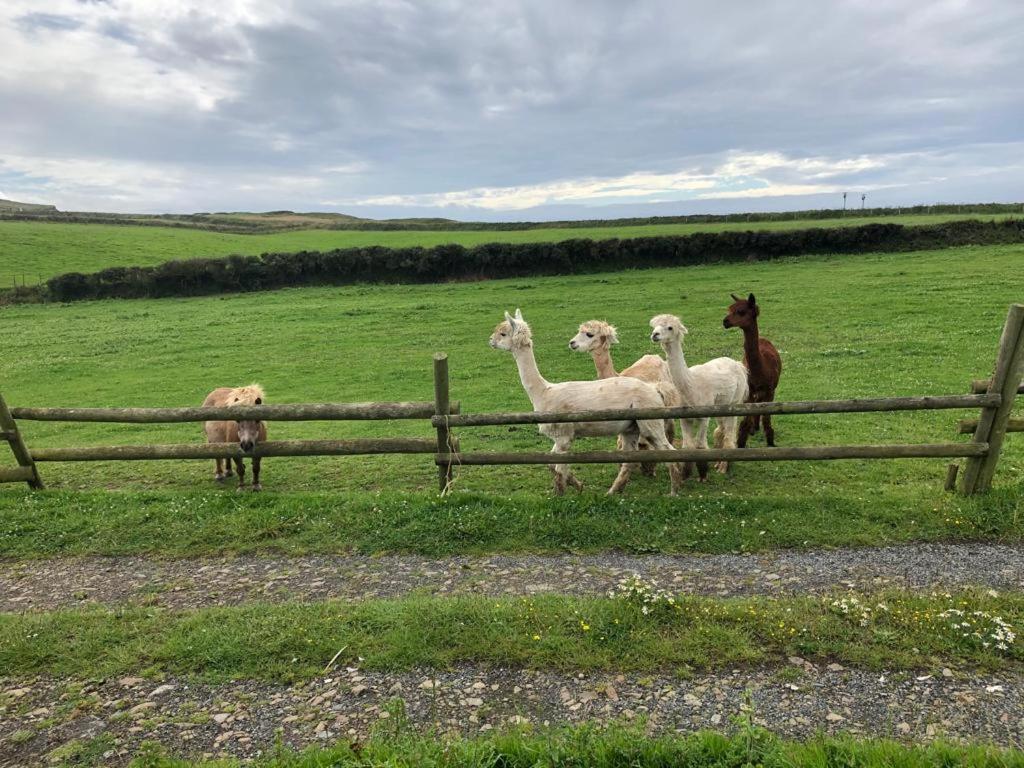 Upton Cross B&B バッド エクステリア 写真