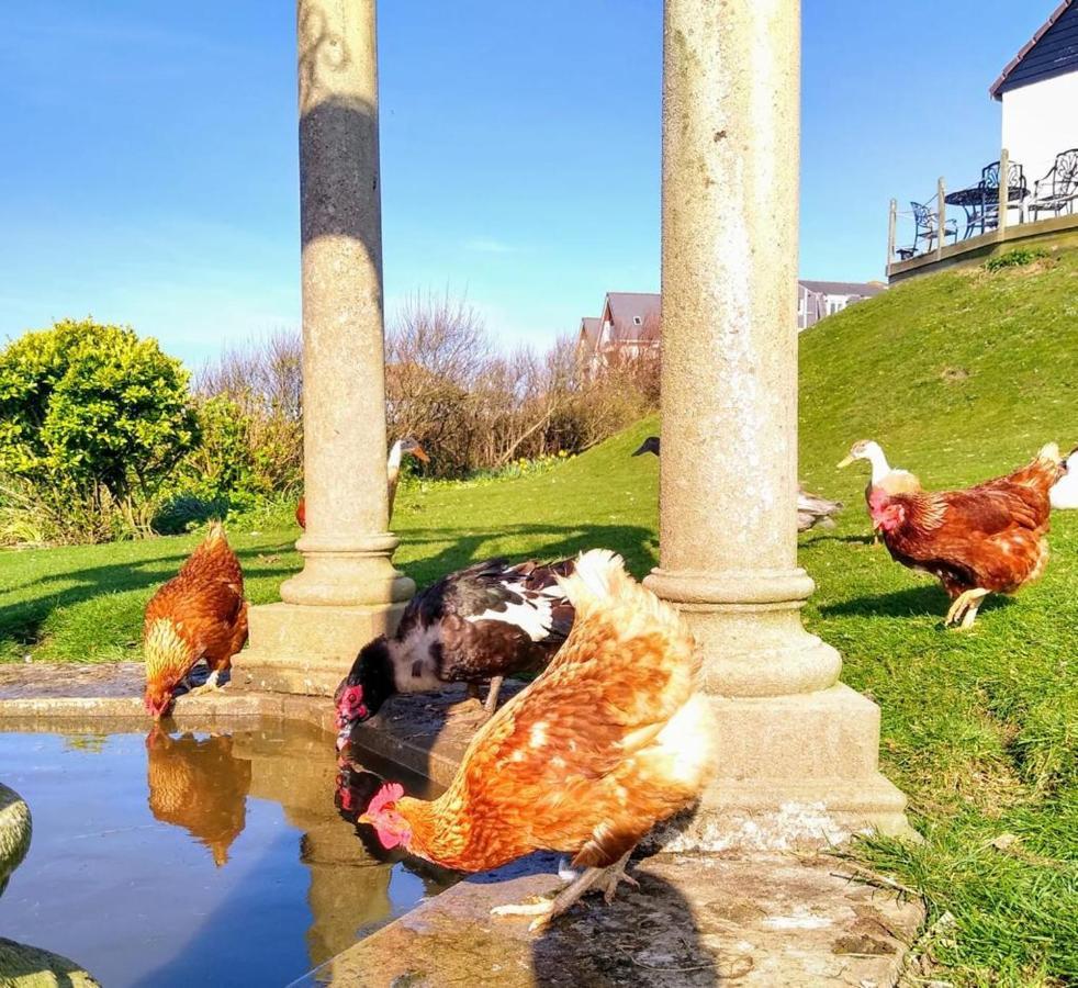Upton Cross B&B バッド エクステリア 写真